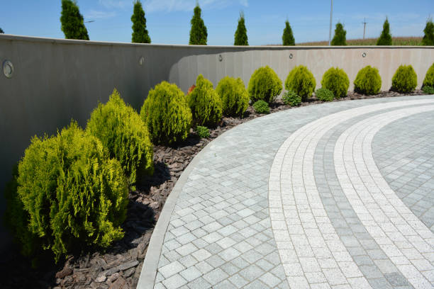 Best Driveway Paving Contractor  in Plant City, FL