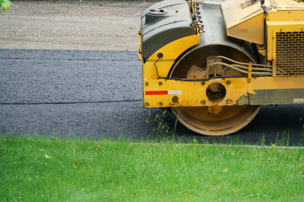 Best Paver Driveway Replacement  in Plant City, FL